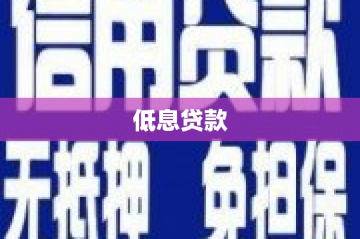 仁和低息贷款