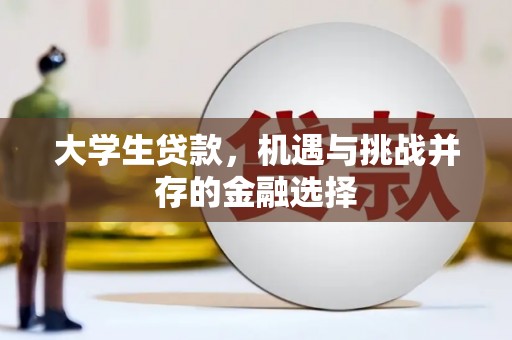 仁和大学生贷款，机遇与挑战并存的金融选择