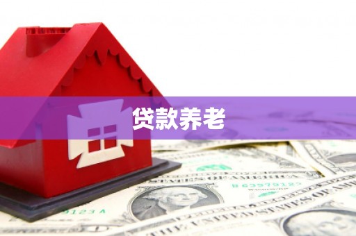 仁和贷款养老