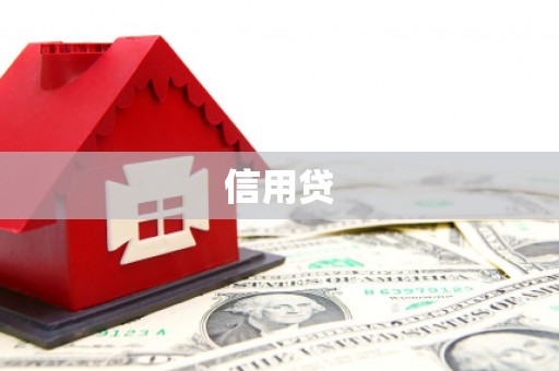 仁和信用贷