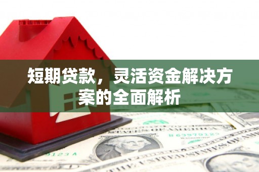 仁和短期贷款，灵活资金解决方案的全面解析