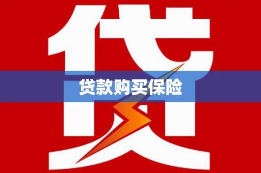 仁和贷款购买保险