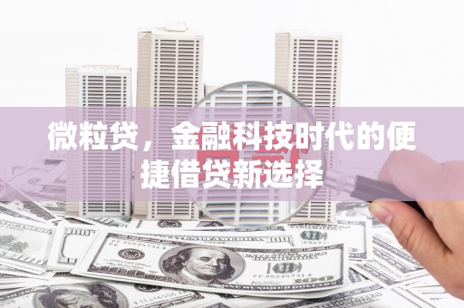 仁和微粒贷，金融科技时代的便捷借贷新选择