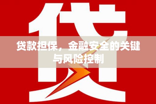 仁和贷款担保，金融安全的关键与风险控制