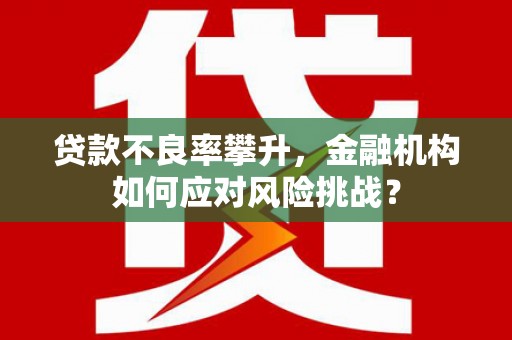 仁和贷款不良率攀升，金融机构如何应对风险挑战？