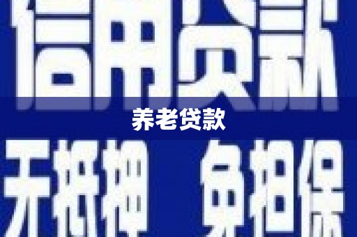 仁和养老贷款