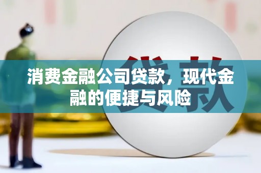 仁和消费金融公司贷款，现代金融的便捷与风险