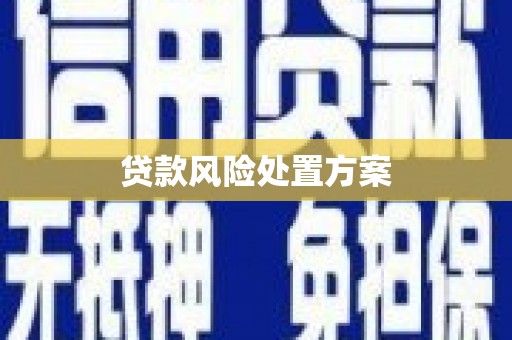仁和贷款风险处置方案