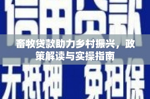 仁和畜牧贷款助力乡村振兴，政策解读与实操指南