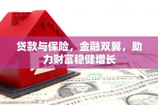 仁和贷款与保险，金融双翼，助力财富稳健增长