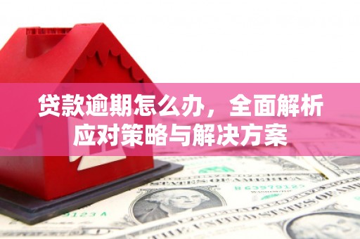 仁和贷款逾期怎么办，全面解析应对策略与解决方案